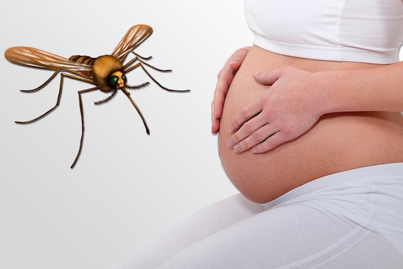 Zika na gravidez – transmissão, sintomas e cuidados