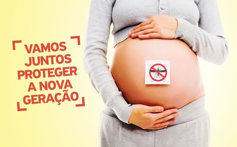 Dengue na gravidez – tudo que você precisa saber!