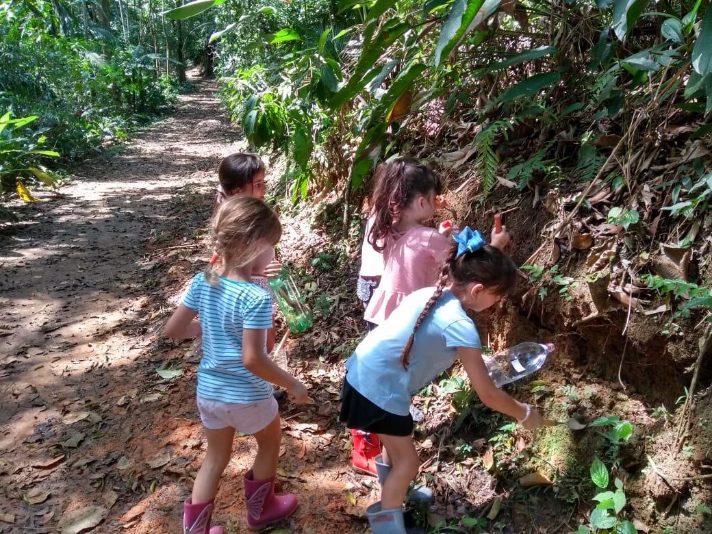 Educação ao ar livre e seus benefícios
