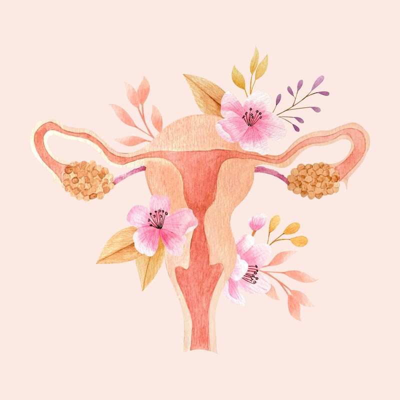 5 dúvidas que toda mulher tem sobre cistos no ovário