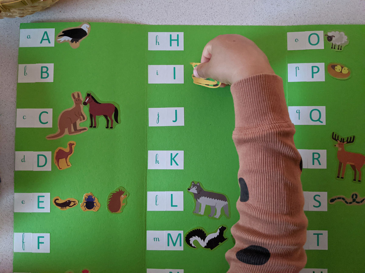 Lapbook – o que é? para que serve? e ideias de temas
