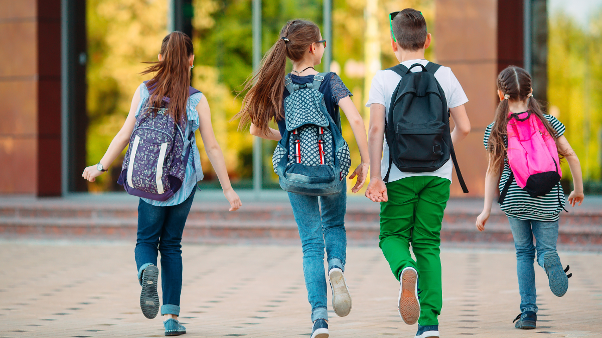 dicas para escolher a mochila escolar ideal