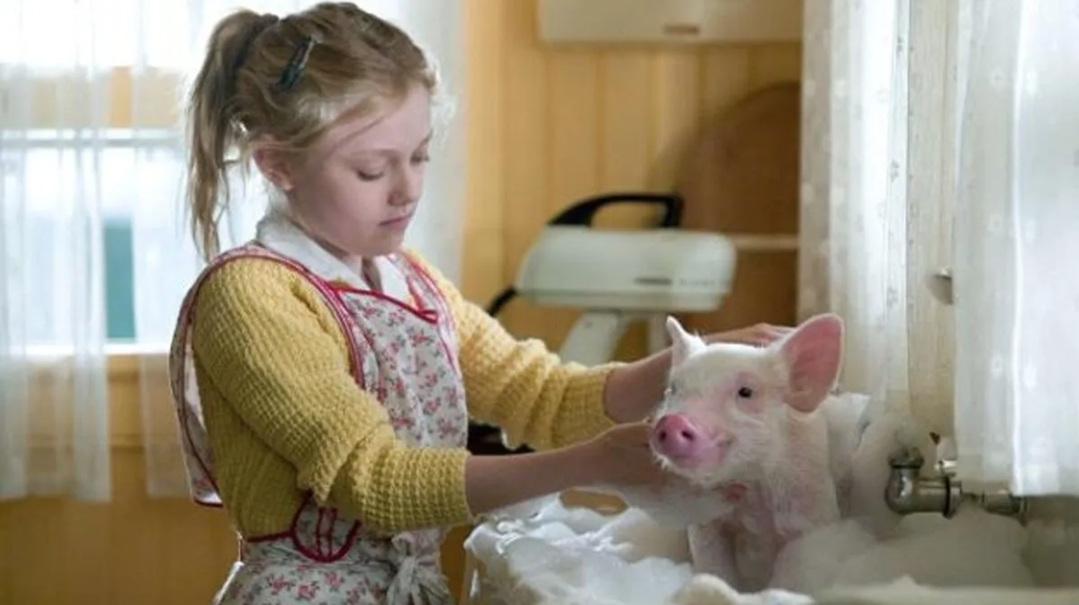 Babe o porquinho filme clássico