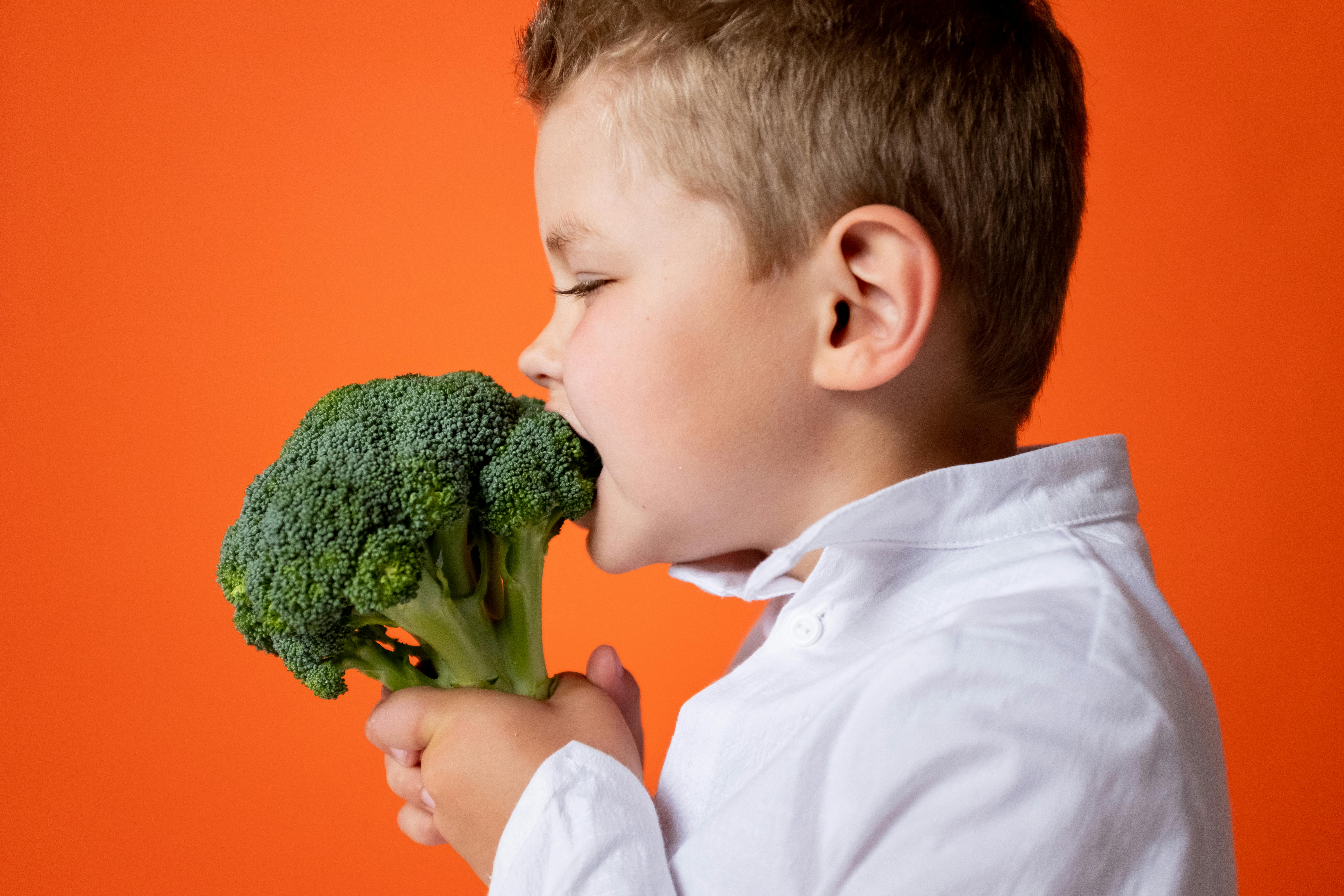 dicas para alimentação saudável