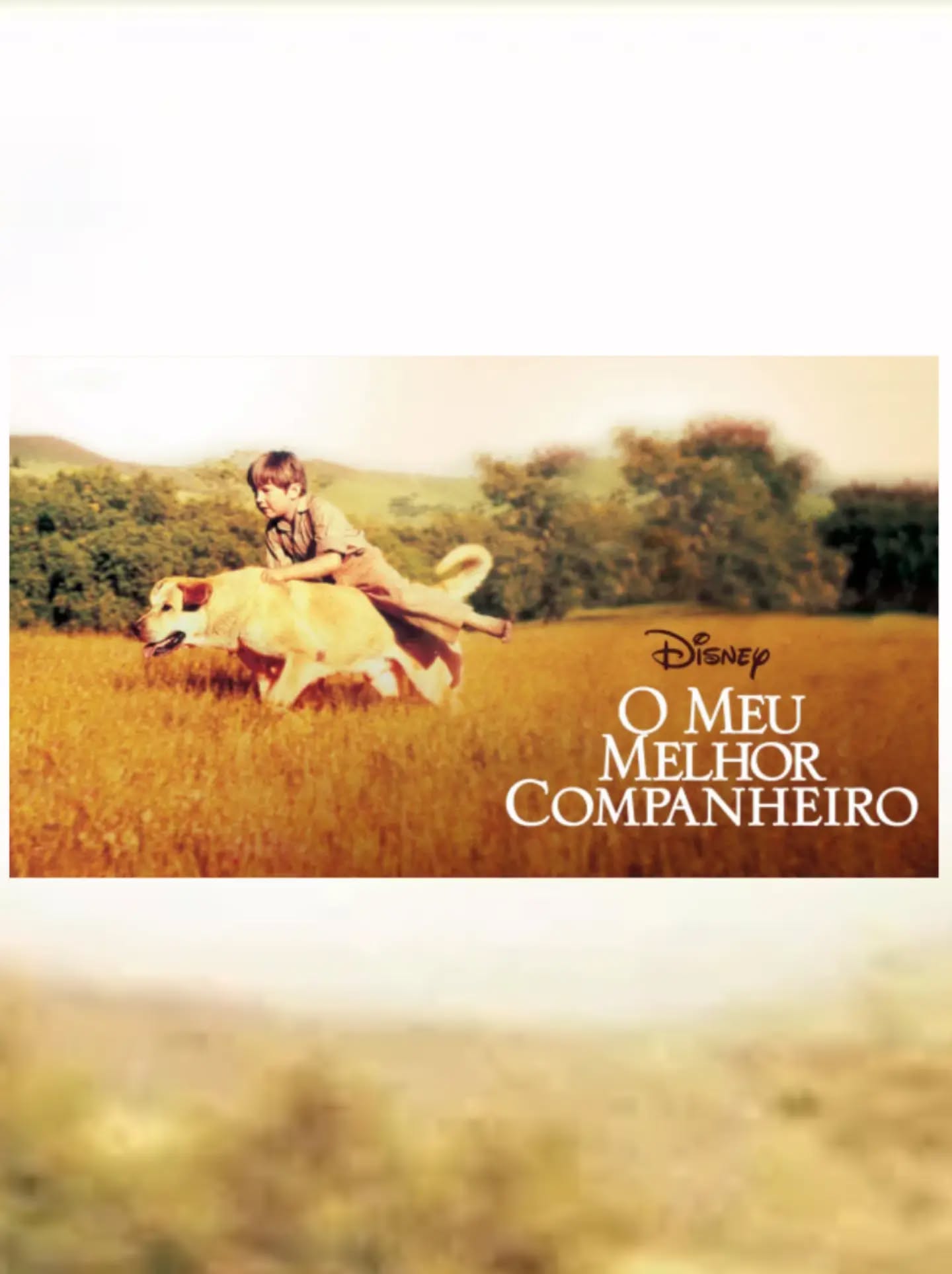 Cena do filme Meu Melhor Companheiro: menino correndo com cachorro labrador num campo