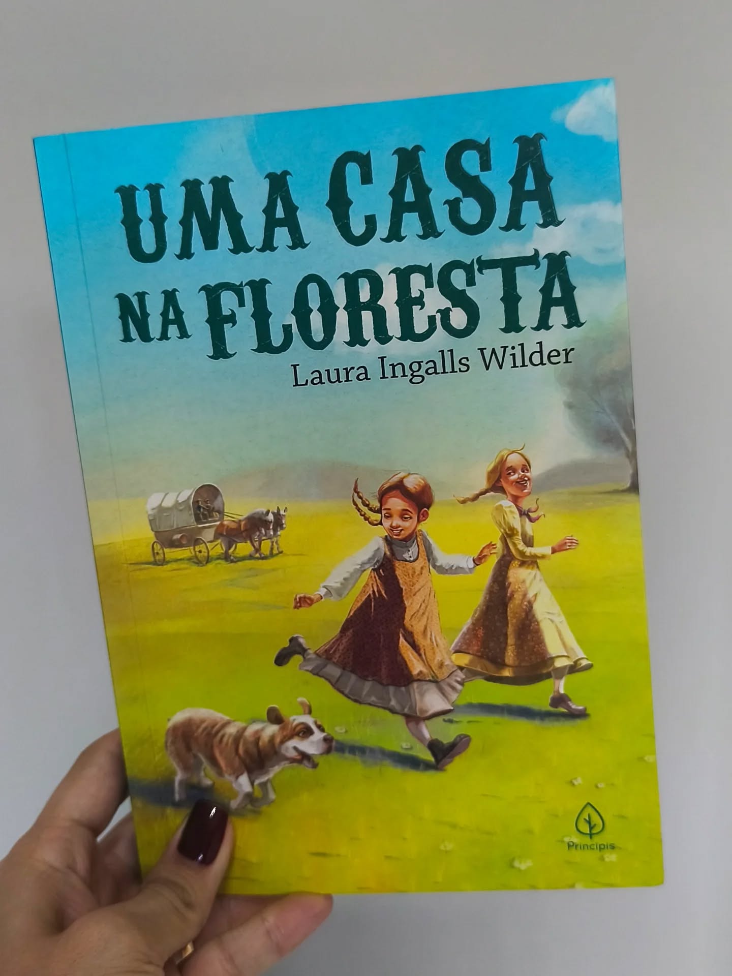 Livro Anne de Green Gables de Lucy Maud Montgomery, capa azul e laranja da Principis